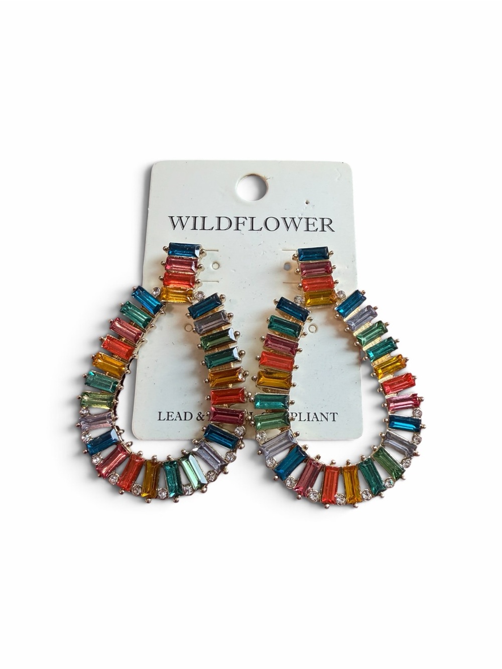 Wildflowers Rainbow Baguette Teardrop Hoop Earrings